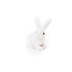 Coelho De Pelúcia Fofinho Branco 13cm | Decoração De Páscoa F